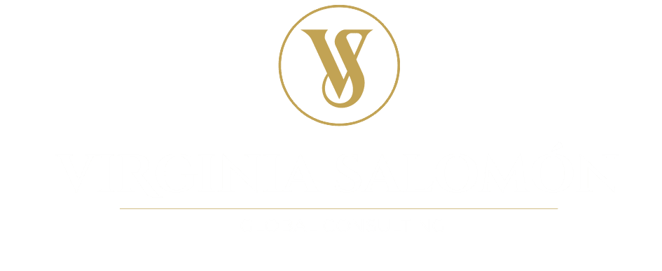 V S Global Consulting